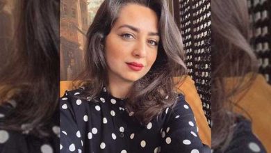 الفنانة هبة مجدي