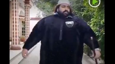 هالك