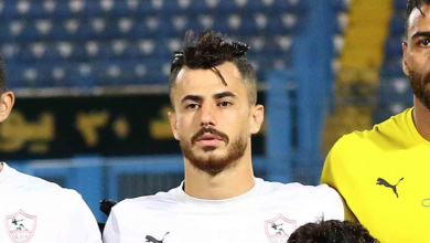 محمود حمدي الونش