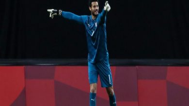 محمد الشناوي