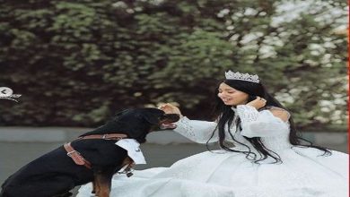 البلوجر هبه مبروك