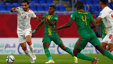 الإمارات وموريتانيا