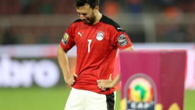 محمود حسن تريزيجيه